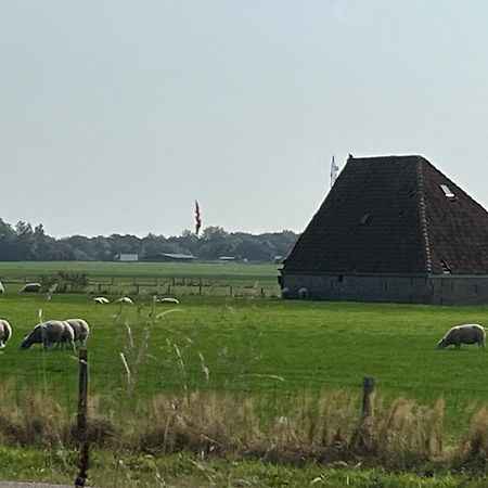 Gastsuite Het Duinroosje Met Hottub Op Het Prive Terras! Den Burg Kültér fotó